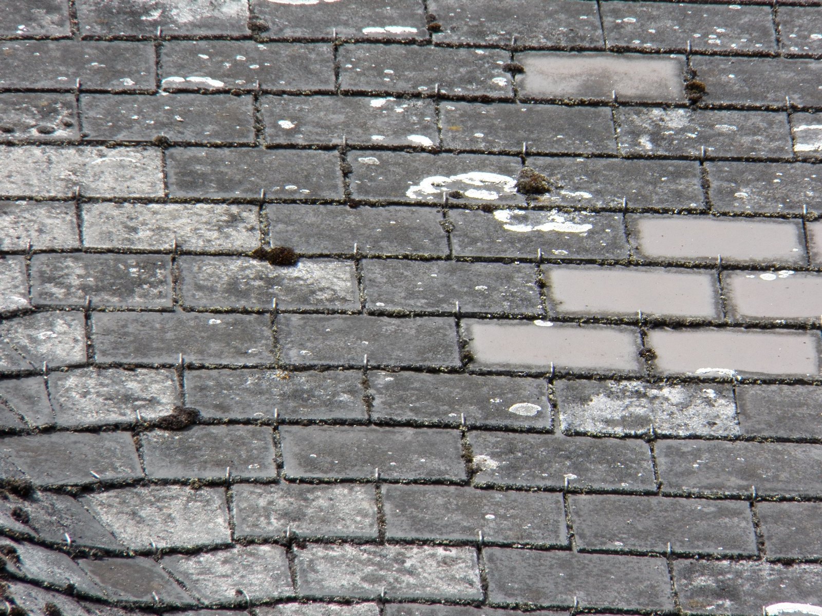 Overlapping dark gray roof shingles with weathering and light surface deposits.