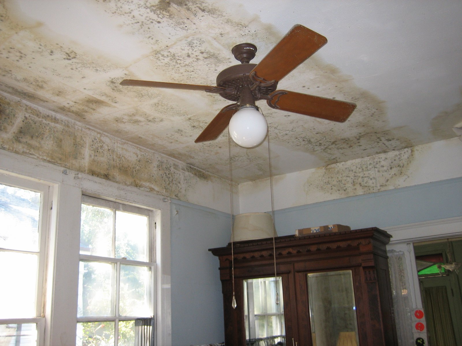 Mold and water staining on a bedroom ceiling around a ceiling fan and above the windows.